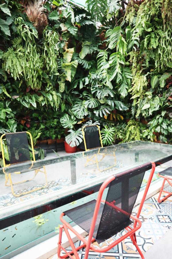 Amango Hostel TP. Hồ Chí Minh Ngoại thất bức ảnh