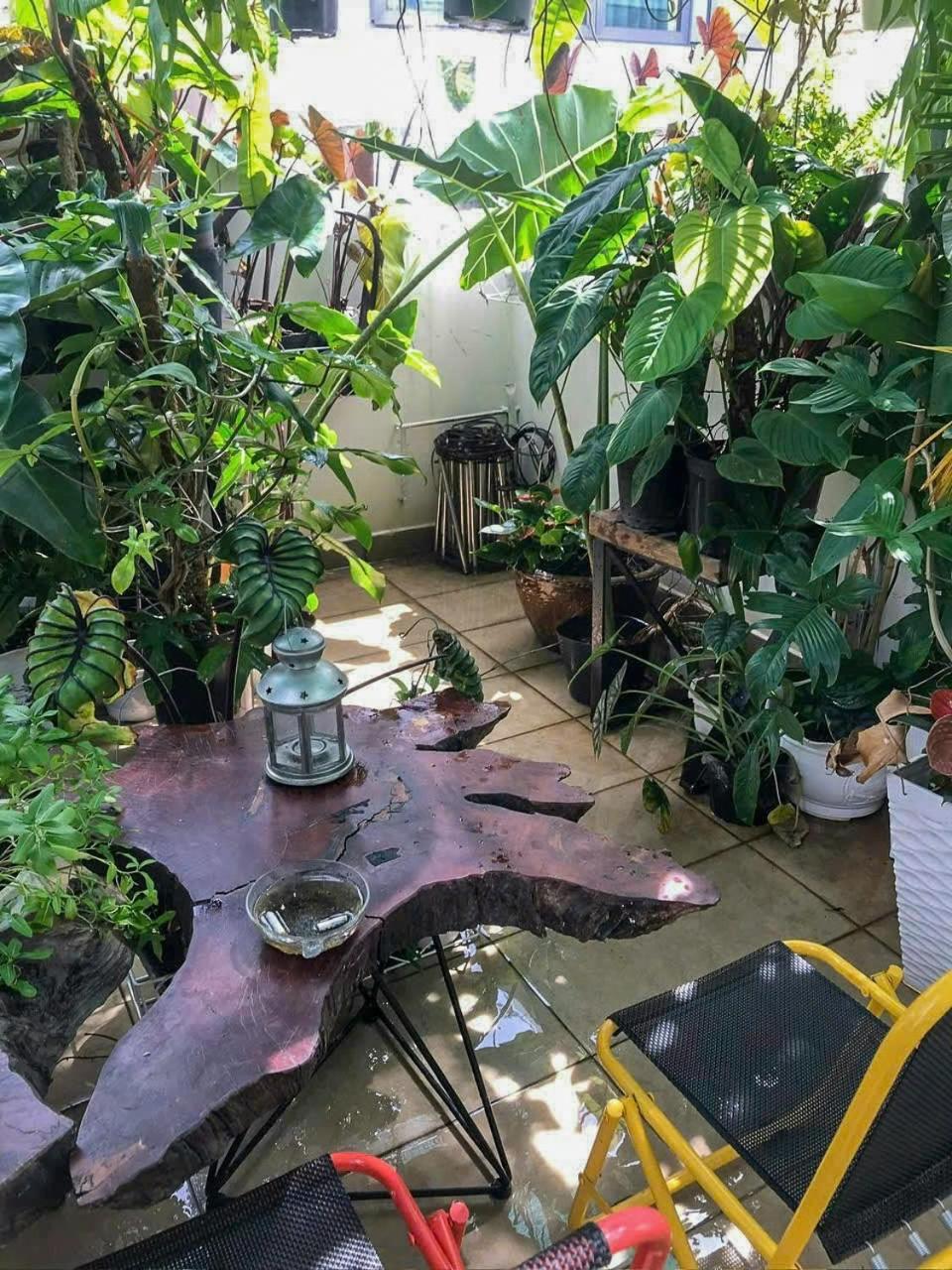 Amango Hostel TP. Hồ Chí Minh Ngoại thất bức ảnh